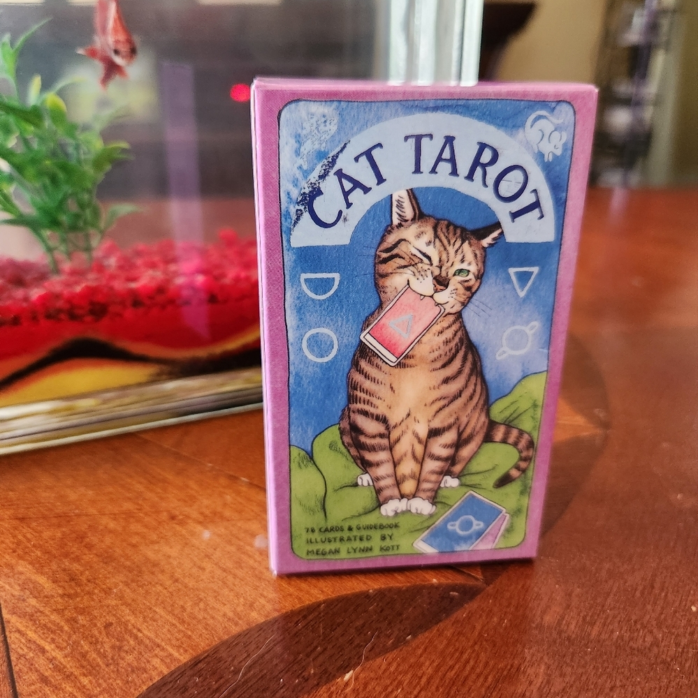 Cat tarot card set